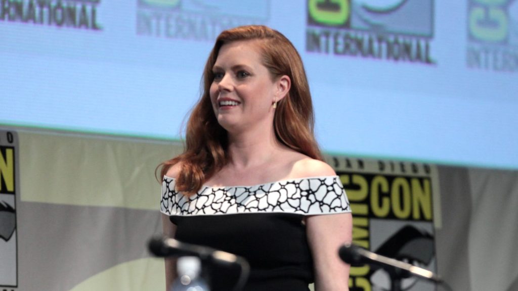 Amy Adams at the press conference.