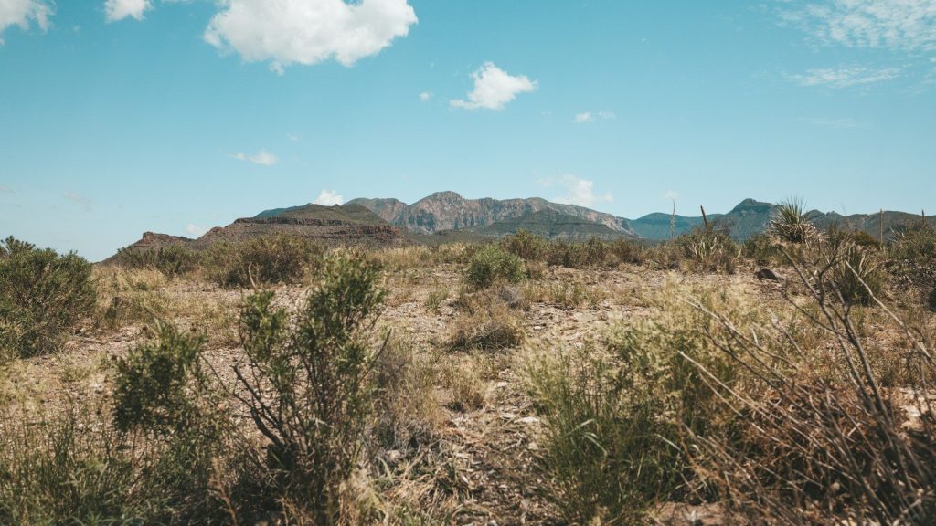 A rough and dry grassy field.