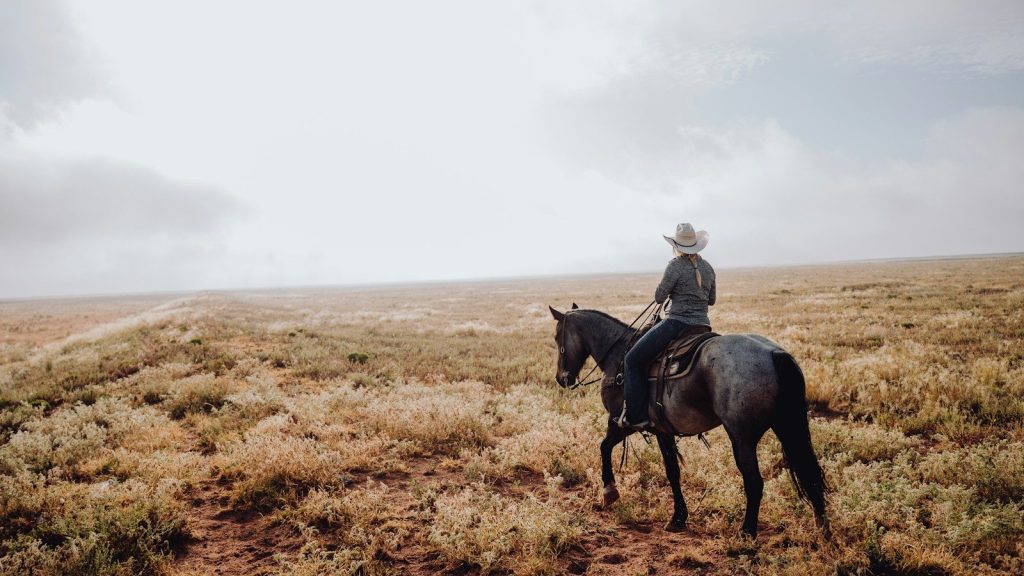 A cowboy riding a horse in a field.