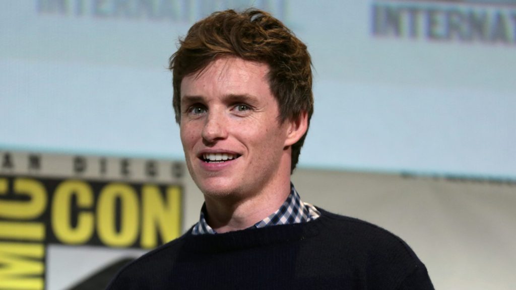 Eddie Redmayne at the press conference.