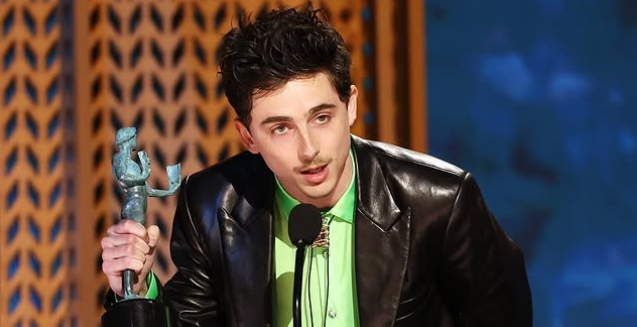 Timothée Chalamet at an award show.