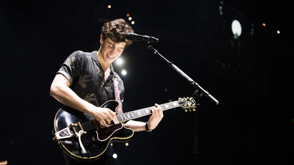 Shawn Mendes performing at a live concert.