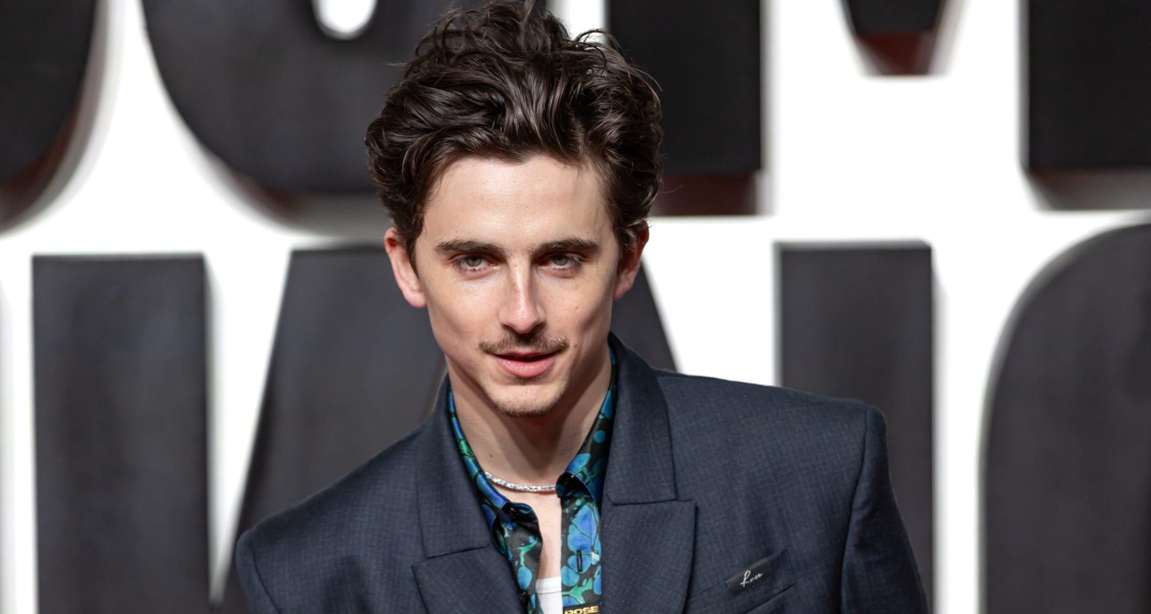 Timothée Chalamet at an event.